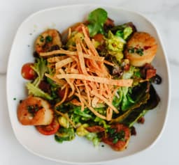 Scallop Salad