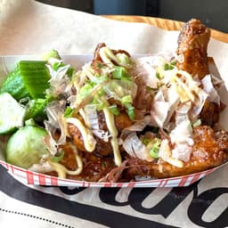 Osaka Wings