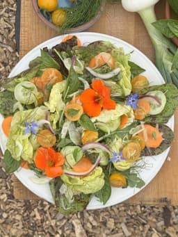 Insalata Mista