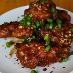 Tamy Wings